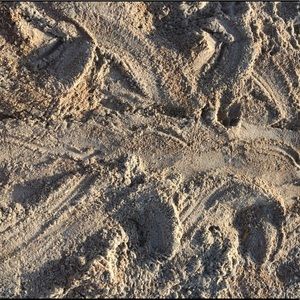 Meet your Posher, Brandy